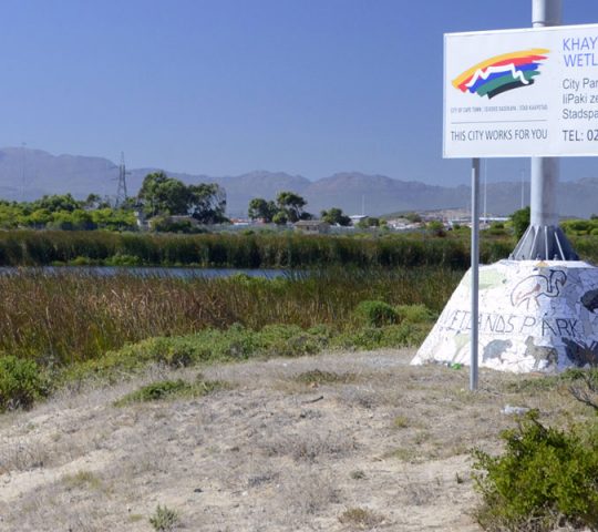 Khayelitsha Wetlands Park