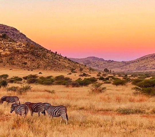 Pilanesberg national park