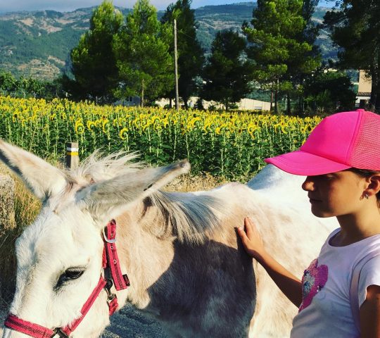 Riera d’Agrés Escola Farm