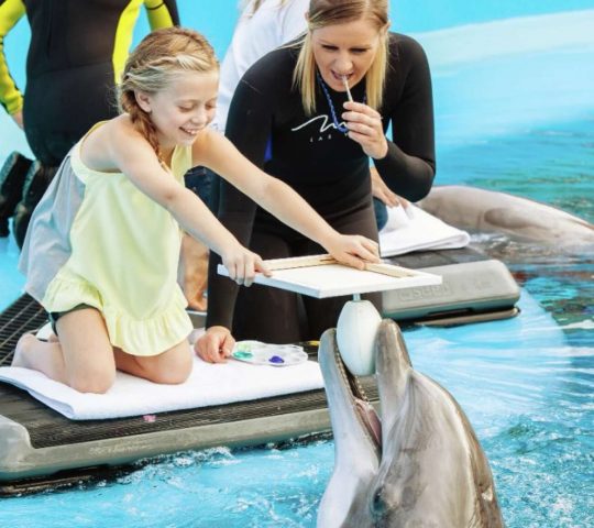 Siegfried & Roy’s Secret Garden & Dolphin Habitat