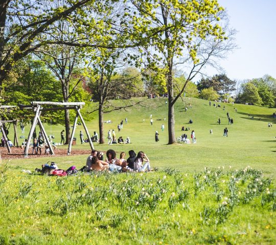 Britzer Garten