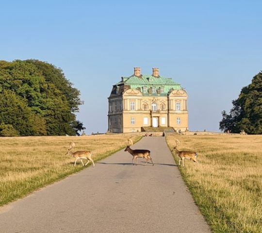 Jægersborg Dyrehave (The Deer Park)