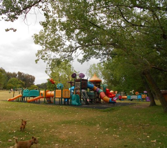 Playground at Delta Park