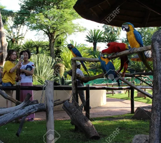 Montecasino Bird Gardens