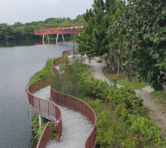 Coney Island Park