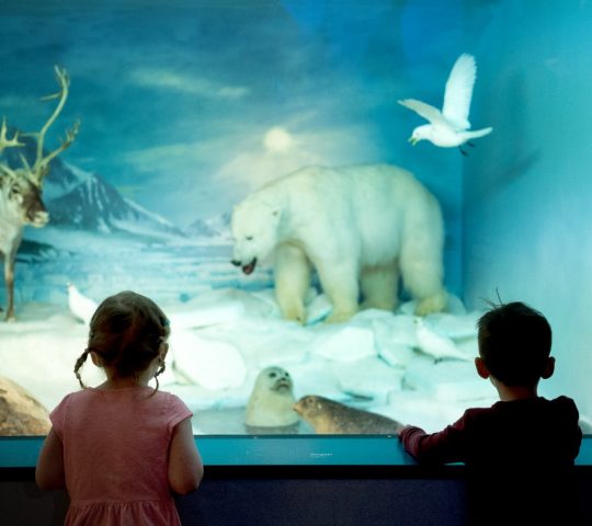 Natural History Museum