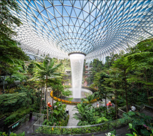 Canopy Park (Jewel Changi)