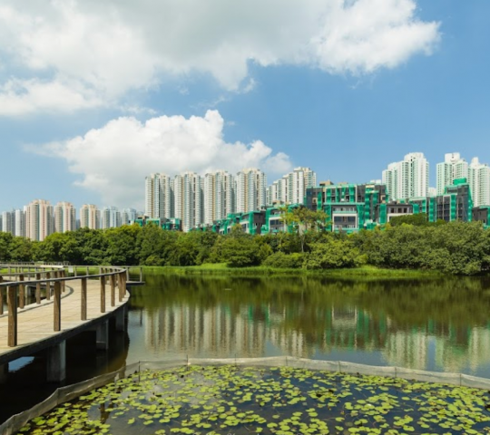 Hong Kong Wetland Park