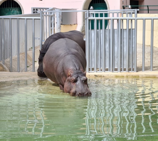 Lisbon Zoo