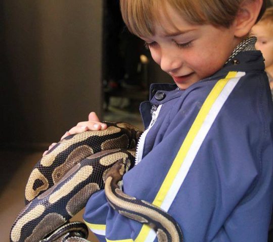 Oslo Reptile Park