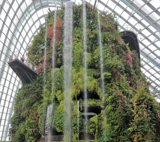 Cloud Forest at Gardens by the Bay