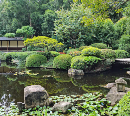 Mount Coot-tha Botanic Gardens