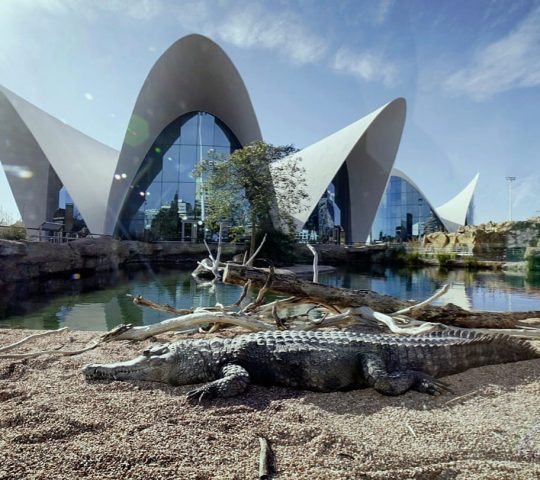 L’Oceanogràfic