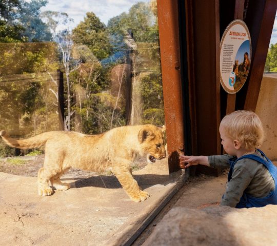 Taronga Zoo Sydney